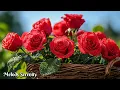Download Lagu Веселитесь🌺Сборник ЛУЧШИХ мелодий для сердца🌿Великолепная музыка, Сергей Грищук #2