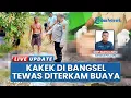 Download Lagu Bergulat dengan Buaya, Kakek di Bangka Selatan Tewas Meski Sempat Diselamatkan oleh Rekannya