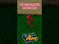 Lagu All Red Flower Locations In Blox Fruits| #redflower #bloxfruits #shorts