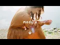 MGMT - Electric Feel (daaliah flip)