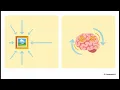 Mobile Application Development Unit 4 Part 3 Flutter App Development