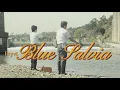 Download Lagu pryvt- blue salvia lyric video