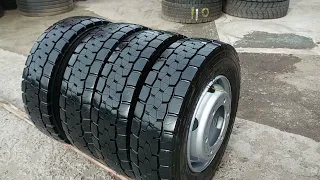                                     دندنها