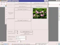 Module 15 35 FlowLayout - TableLayout 02 FlowLayout TableLayout to C