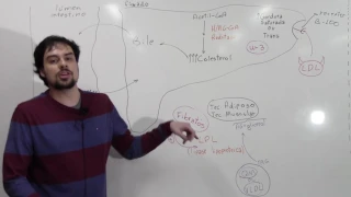 Aula Fármacos Dislipidemias