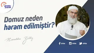 Domuz neden haram edilmiştir?