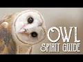The Owl Spirit Guide - Ask the Spirit Guides Oracle Totem Animal