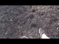 "LOSING TEETH" by NECK DEEP (MUSIC VIDEO)