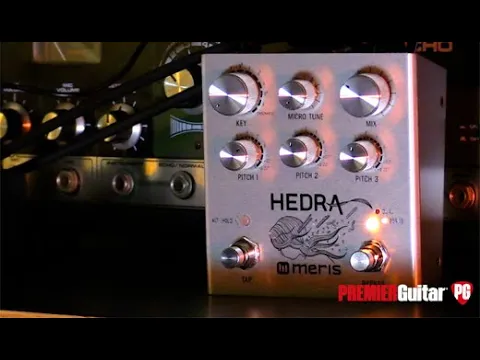 Meris Hedra Stereo Rhythmical Pitch-Shifter | Delicious Audio