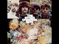 Mr. Spaceman (album version)