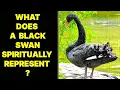 Download Lagu Black Swan Spiritual Significance