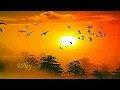 The End Of The World - SKEETER DAVIS - With lyrics