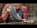 Download Lagu Tahu Bakso Ikan Bledos Jos Gandos | JEJAK SI GUNDUL (07/07/25)