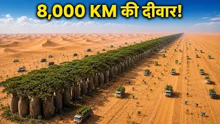 8,000 KM लंबी Green Wall आखिर क्यों बनाई जा रही हैHow Africa Is Fighting Desertification With Nature