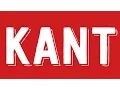 Beginner s Guide to Kant s Metaphysics Epistemology Philosophy Tube