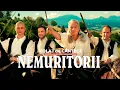 Download Lagu NEMURITORII . Balada Jgheabului [ COLAJ 2025 ]