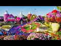 Lagu Miracle Garden Dubai 2022 || The world’s largest natural flower garden