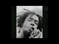 Peter Tosh - Nah Go A Jail (lyrics)