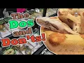 How to Shop at a Reptile Expo