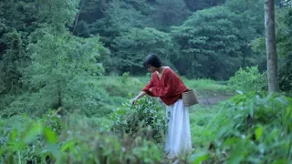 Cool And Sweet Berry Ice Cream The Taste Of Summer Liziqi Channel 