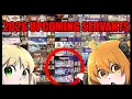 All Upcoming 2026 Servants Release Guide Order