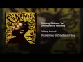 Shimmy Shimmy Ya (2005 Remaster)
