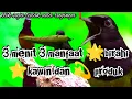 Download Lagu AUDIO TERAPI SUARA MURAI BATU KAWIN PALING JERNIH DAN AMPUH