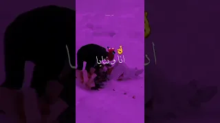 يقولو محبة قروب ولاقانا المكتوب Shortvideo 