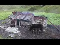Lagu This is Most Beautiful Village Life During the Rain | Rural Documentary Video | Nature With Rural |
