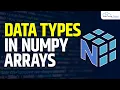What is Data Type of NumPy Array Datatype Functions Machine Learning Tutorial