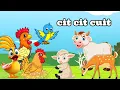 Download Lagu cit cit cuit - lagu anak populer indonesia - lagu anak anak