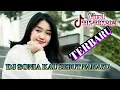 DJ VIRAL TIKTOK SLOW BEAT SONIA KAU SEBUT NAMAKU ( SAFIRA INEMA )