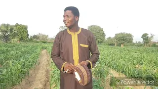 zul ulah annabi muhammadu s a w
