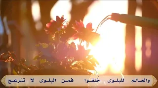 ستأتي أفراح  الفر ج    عامر عطايا دندنها