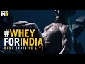 Download Lagu Introducing MuscleBlaze Biozyme Whey Protein with 50% Higher Protein Absorption | English
