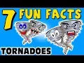 7 FUN FACTS ABOUT TORNADOES TORNADO FACTS FOR KIDS Learning Colors Twister Funny Sock Puppet