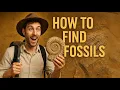 How to Find Fossils The Ultimate Fossil Hunting Guide for Beginners