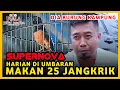 Rawatan Murai SUPERNOVA ‼️ Jawara senilai 6 Mobil PIALA KICAU JATIM RAYA