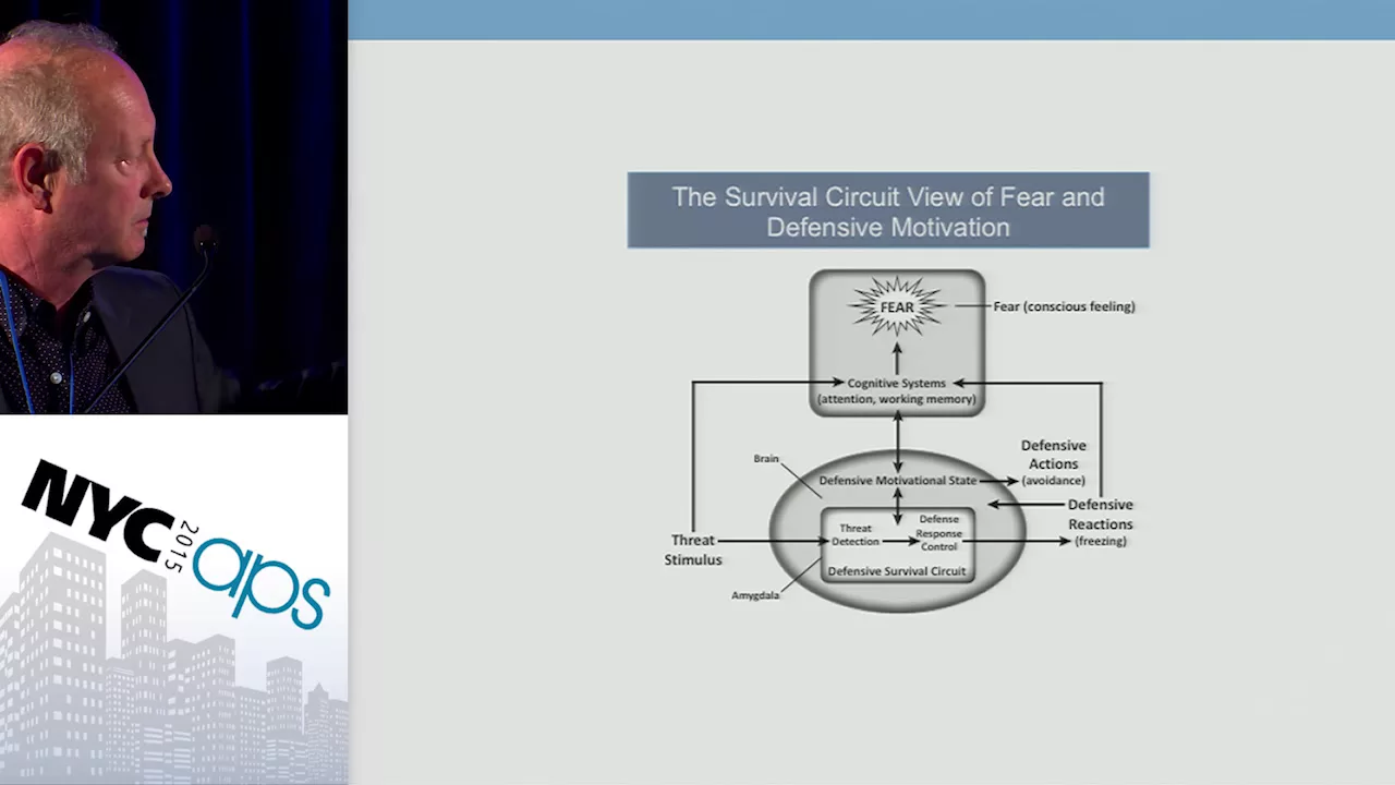 APS Award Address: Coming to Terms with Fear and Anxiety