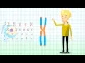 Understanding Chromosomal Translocation - Robertsonian Translocation v1 2