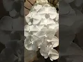 Download Lagu #flowers #flowerart #ytshorts #yt #whiteflower #orchid #flowerdesign #flowermaking