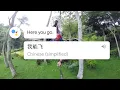 Language enthusiasts Introducing Actions for your Google Assistant