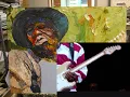 buddy Guy - Smell Trouble.wmv