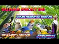 Download Lagu SUARA PIKAT BURCIL PALING AMPUH ANTI ZONK SANGAT MEMPESONA MP3 PUTAR SEKALI LANGSUNG NYAUT