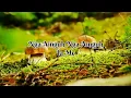 Download Lagu Namar Ka Sngi Bad Ki Khlur Bad U Bnai || Lynti Bneng 502 - Saiñ, Bani \u0026 Maxwell.