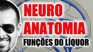 Líquor / Líquido Cérebro-Espinal / Líquido Céfalo-Raquidiano - Sistema Nervoso - VideoAula 079 -