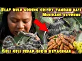Download Lagu ULET BULU GORENG CRISPY BIKIN HAPPY