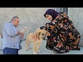 Download Lagu HERO MOM \u0026 VET Save Puppy! Emergency Call for Lifesaving Treatment!