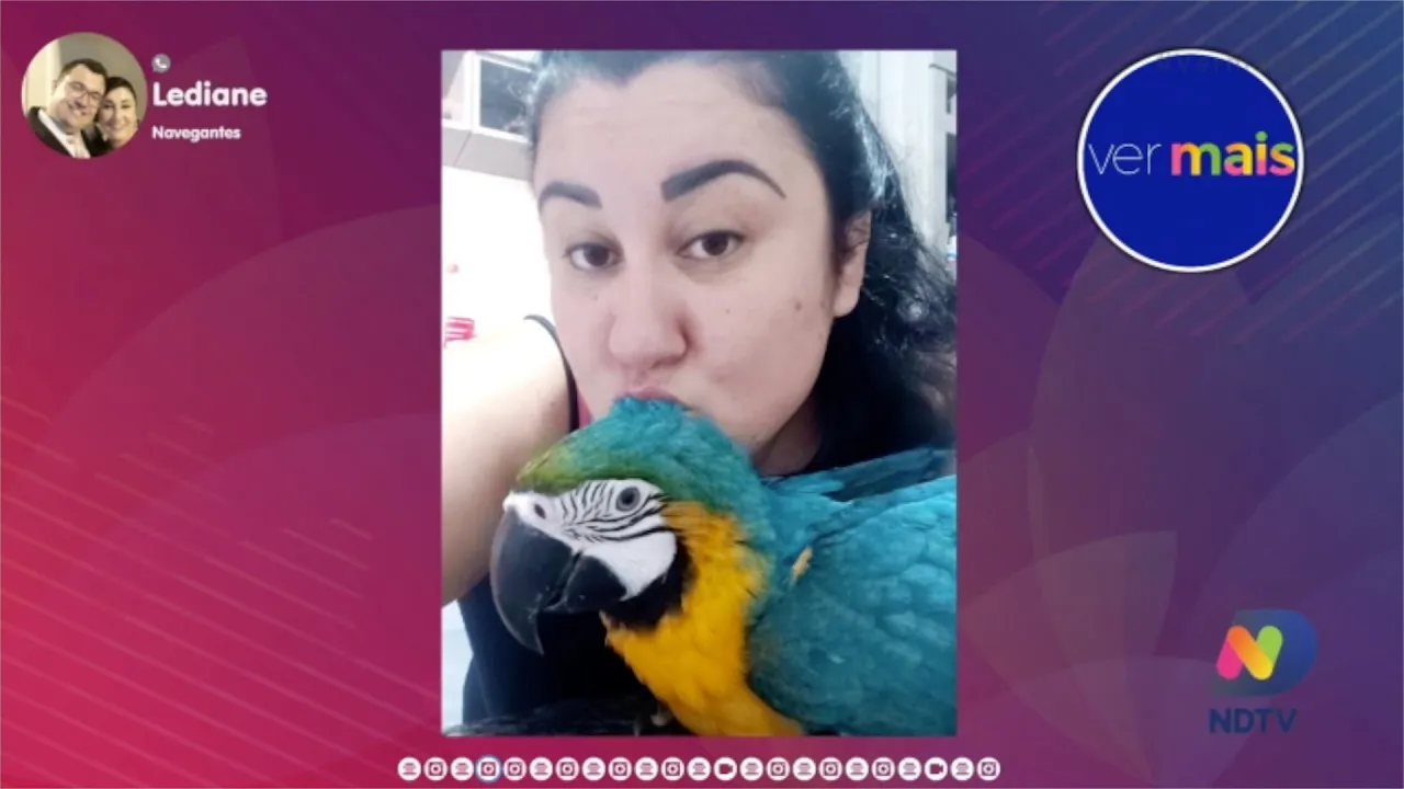 Participação do público com seus animais de estimação