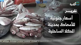 الكيلو ب     ألف ريال   أسعار جنونية للأسماك في مدينة المكلا الساحلية دندنها